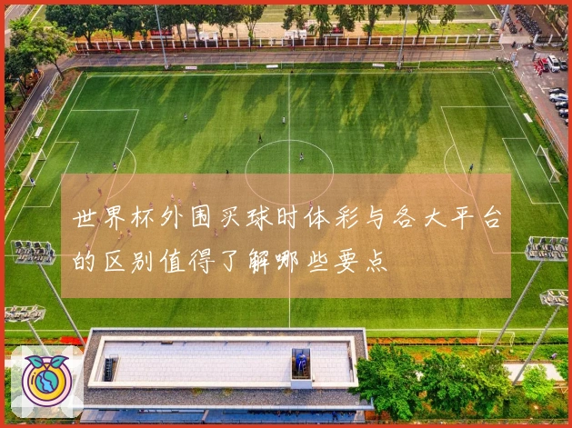 世界杯外围买球时体彩与各大平台的区别值得了解哪些要点